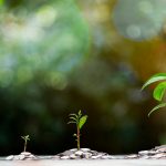 What is ESG investing, and how do I know if it’s right for me?